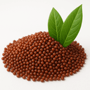 Ragi