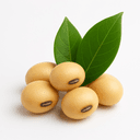 Soya